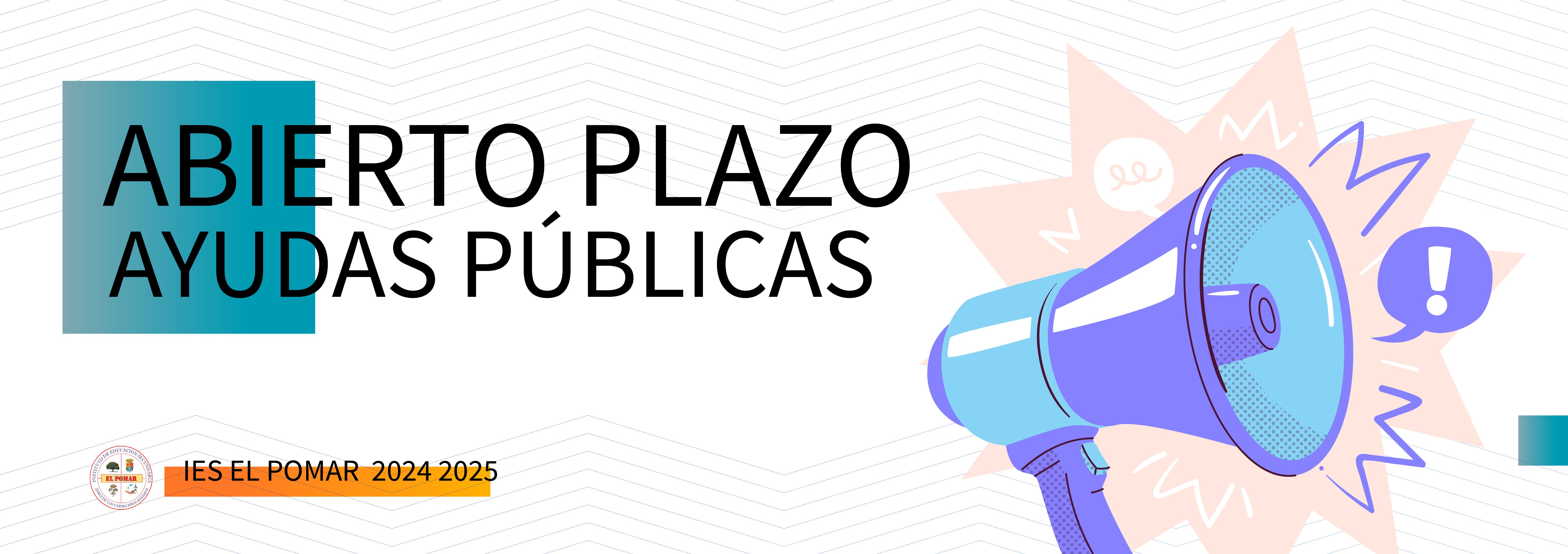 Ayudas publicas web y rrss Mesa de trabajo 1